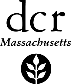 DCR Programs for Winter-Spring 2019