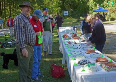 image of cake table with 20+ cakeseremony