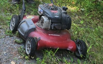 WANTED: more push mowers