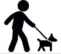 If you bring your dog …