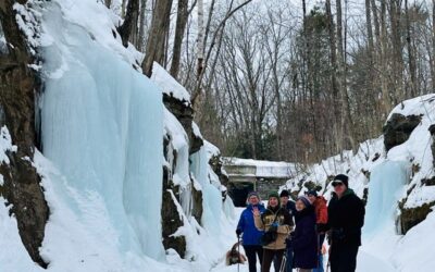 Call for Winter Photos